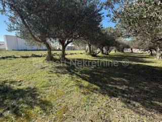 Građevinsko zemljište, Prodaja, Podstrana, Podstrana