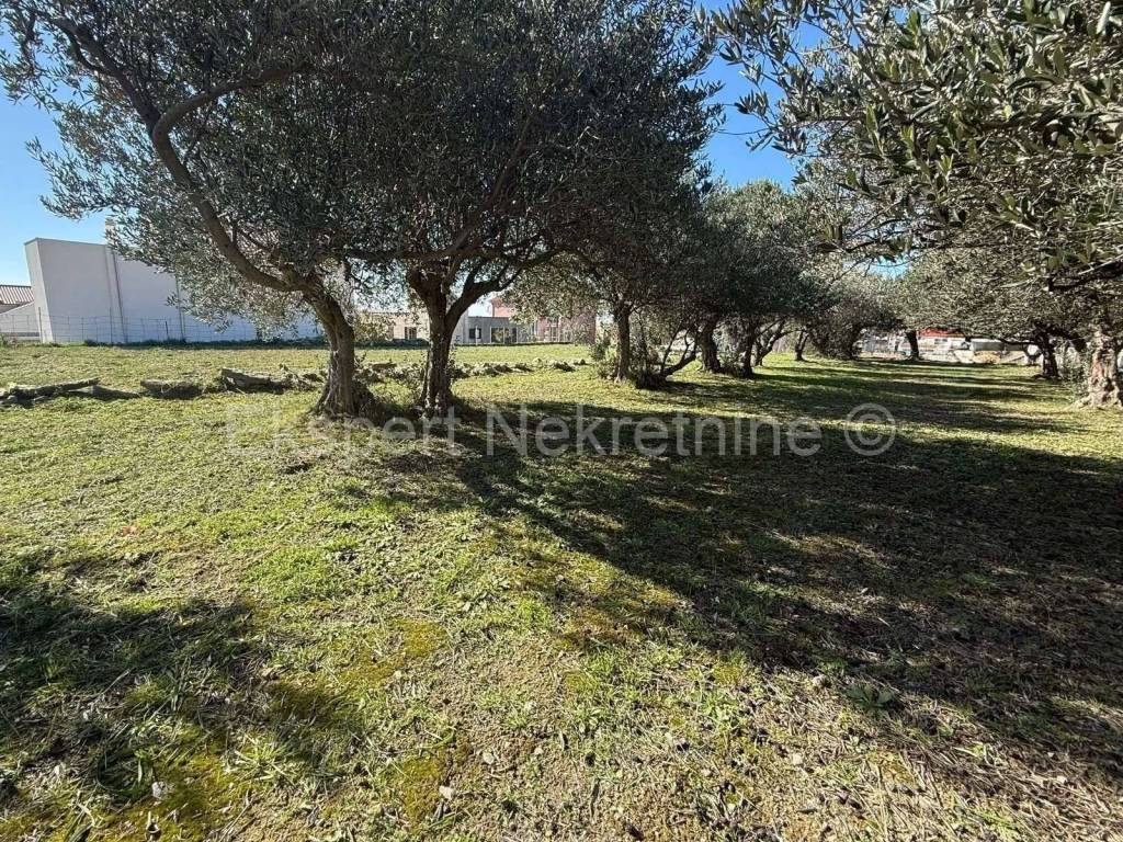 Građevinsko zemljište, Prodaja, Podstrana, Podstrana