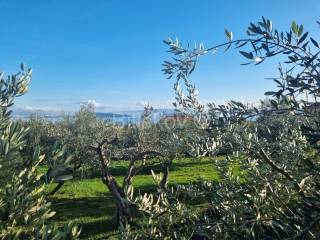 Poljoprivredno zemljište, Prodaja, Kaštela, Kaštel Novi