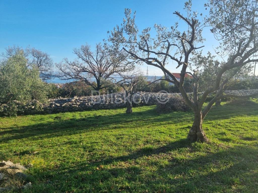 Poljoprivredno zemljište, Prodaja, Kaštela, Kaštel Novi