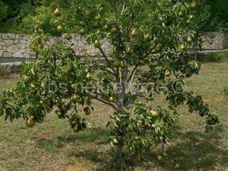 Građevinsko zemljište, Prodaja, Hrvace, Gornji Bitelić