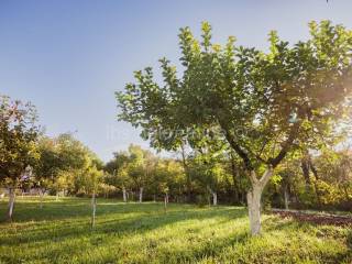 Građevinsko zemljište, Prodaja, Hrvace, Gornji Bitelić