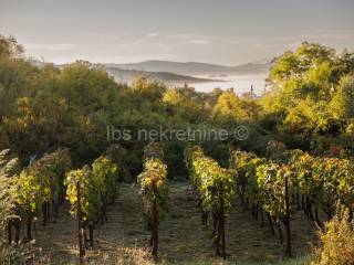 Građevinsko zemljište, Prodaja, Hrvace, Gornji Bitelić