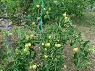 Građevinsko zemljište, Prodaja, Hrvace, Gornji Bitelić