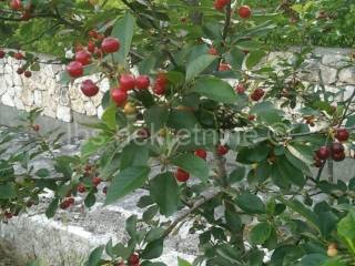 Građevinsko zemljište, Prodaja, Hrvace, Gornji Bitelić