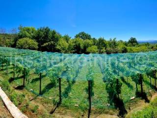 Građevinsko zemljište, Prodaja, Hrvace, Gornji Bitelić