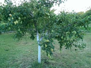 Građevinsko zemljište, Prodaja, Hrvace, Gornji Bitelić