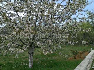 Građevinsko zemljište, Prodaja, Hrvace, Gornji Bitelić