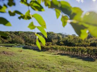 Građevinsko zemljište, Prodaja, Hrvace, Gornji Bitelić