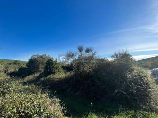 Poljoprivredno zemljište, Prodaja, Tribunj, Tribunj