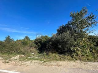 Poljoprivredno zemljište, Prodaja, Tribunj, Tribunj