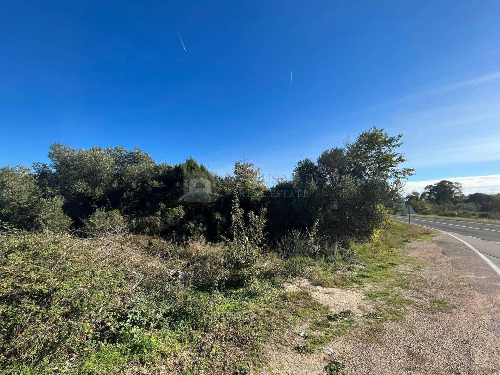 Poljoprivredno zemljište, Prodaja, Tribunj, Tribunj