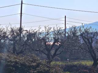 Građevinsko stambeno zemljište, Prodaja, Medulin, Pomer