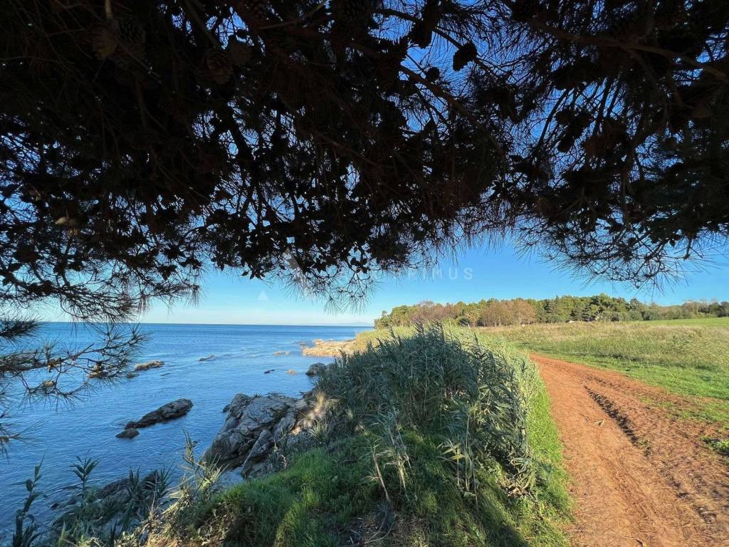 Građevinsko zemljište, Prodaja, Umag, Bašanija