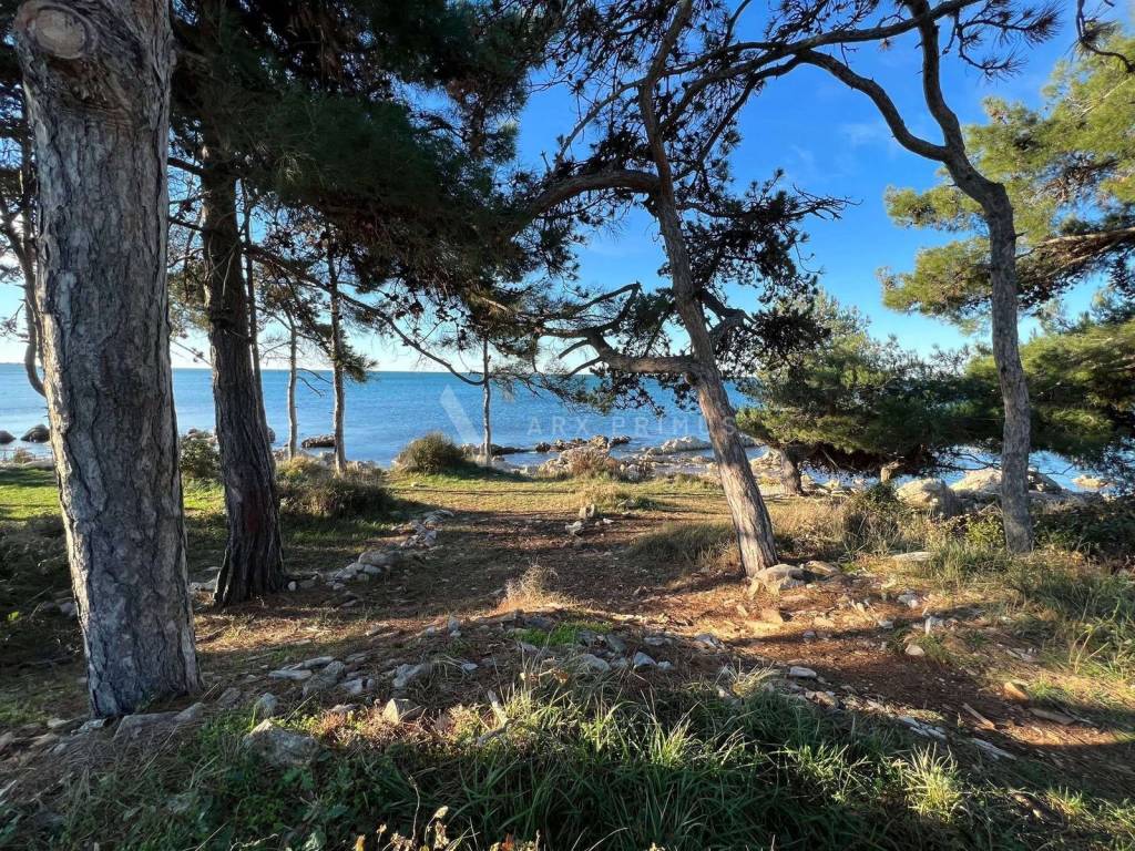 Građevinsko zemljište, Prodaja, Umag, Bašanija