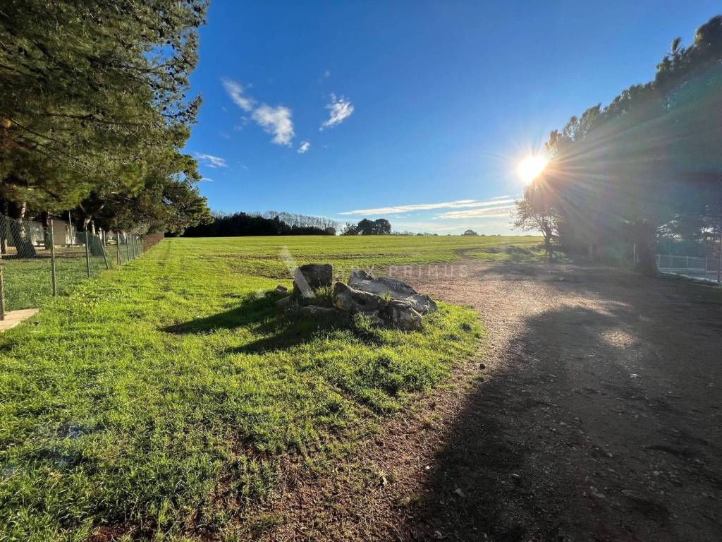 Građevinsko zemljište, Prodaja, Umag, Bašanija