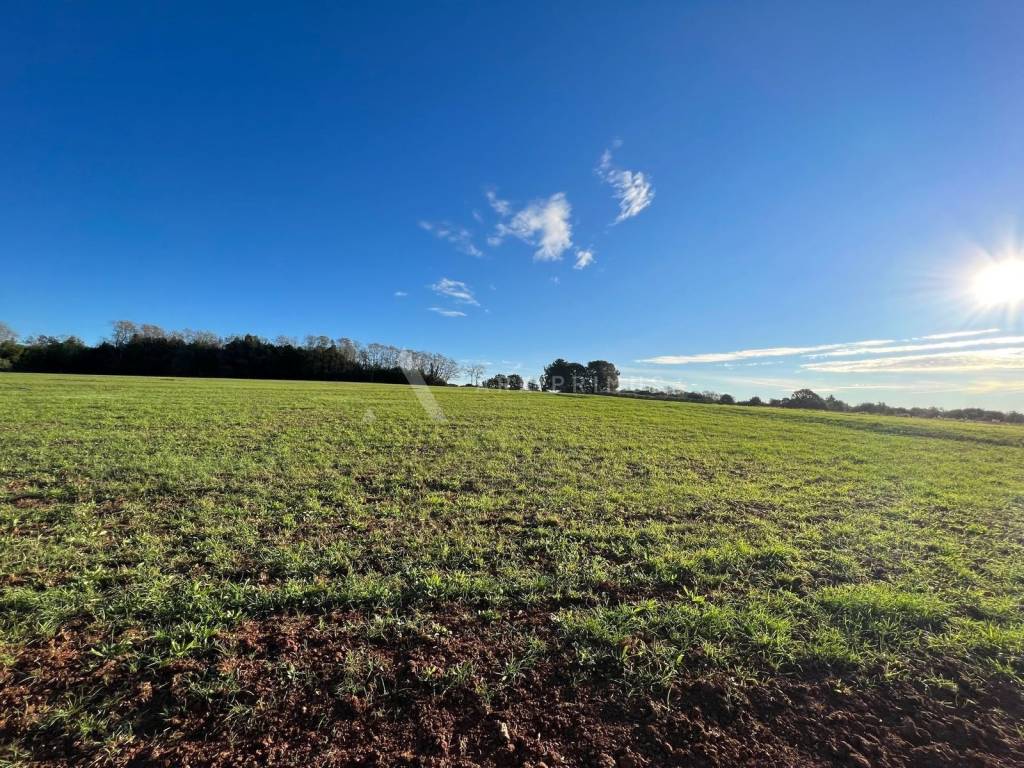 Građevinsko zemljište, Prodaja, Umag, Bašanija