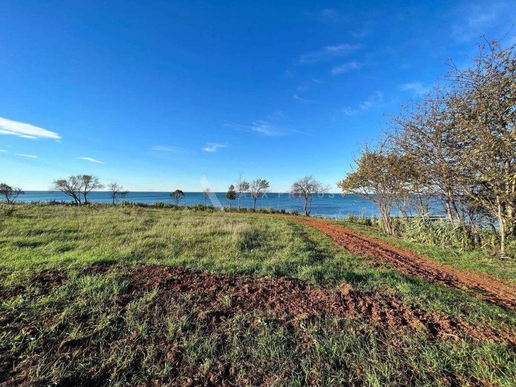 Građevinsko zemljište, Prodaja, Umag, Bašanija