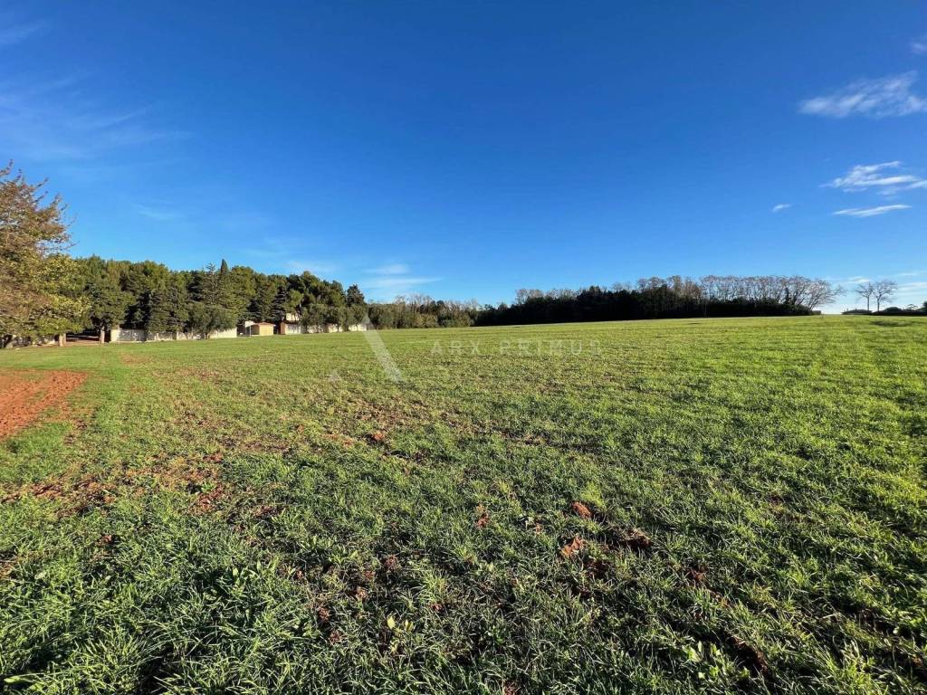 Građevinsko zemljište, Prodaja, Umag, Bašanija