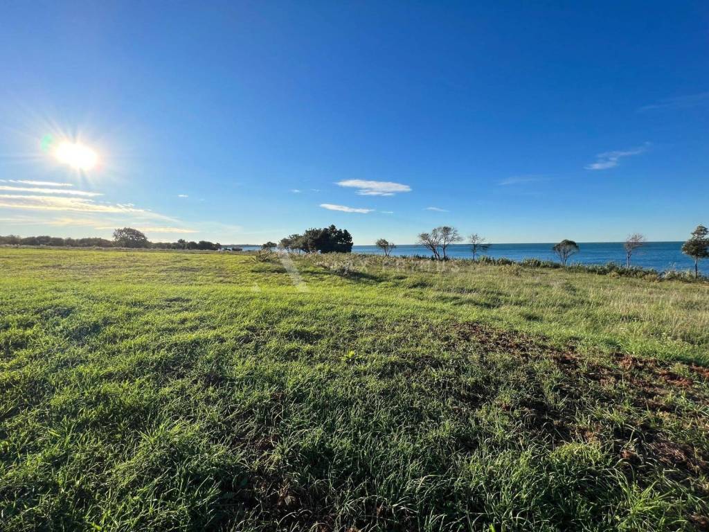 Građevinsko zemljište, Prodaja, Umag, Bašanija