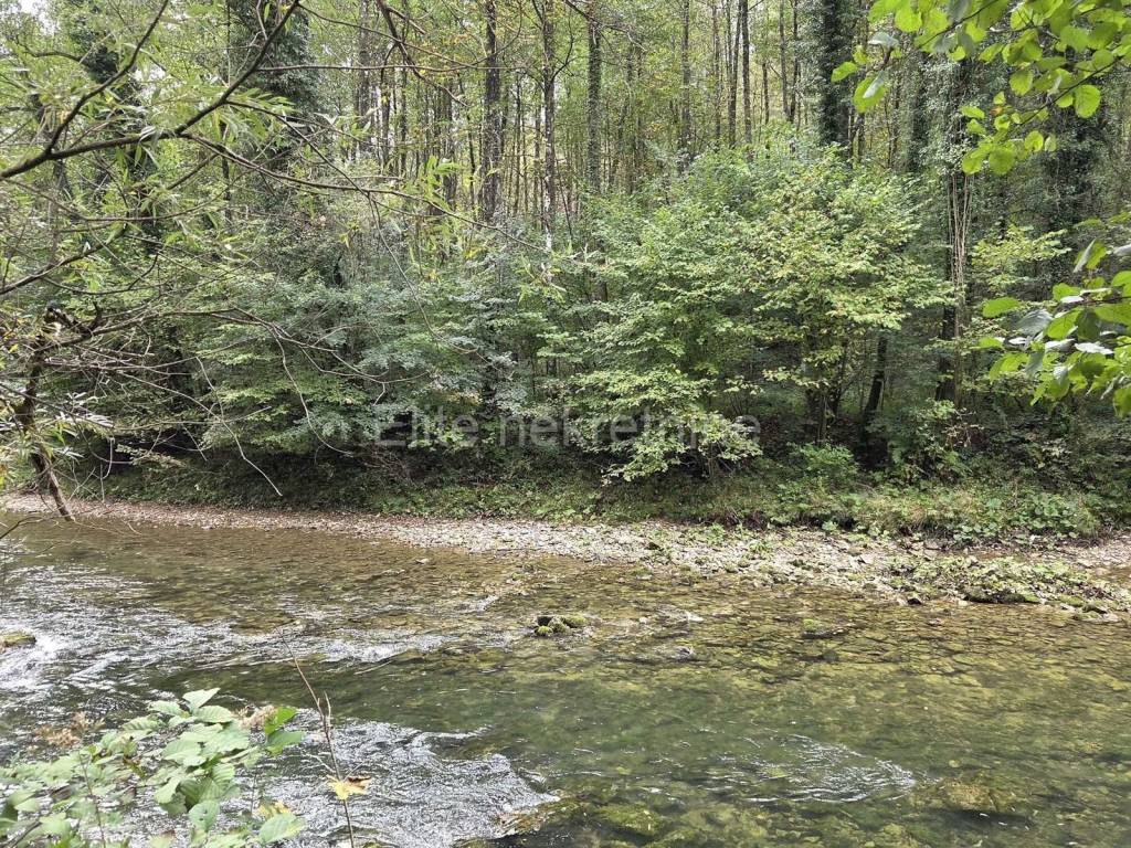 Poljoprivredno zemljište, Prodaja, Vrbovsko, Vrbovsko