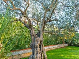 Vila, Prodaja, Poreč, Poreč