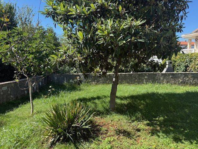 Stan u zgradi, Prodaja, Umag, Zambratija