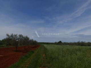 Poljoprivredno zemljište, Prodaja, Umag, Petrovija