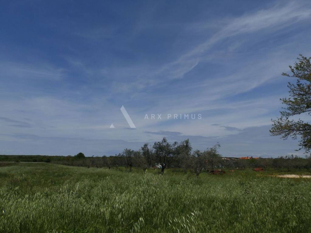 Poljoprivredno zemljište, Prodaja, Umag, Petrovija