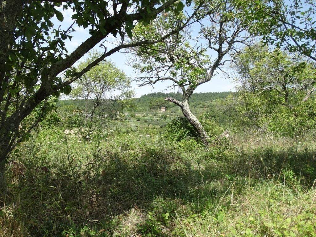 Kamena kuća, Prodaja, Buje, Krasica