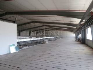 Hala, Zakup, Zagreb, Stenjevec