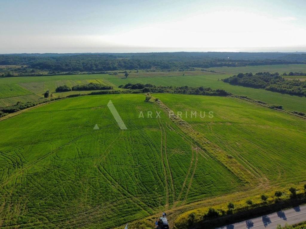 Poljoprivredno zemljište, Prodaja, Buje, Buje