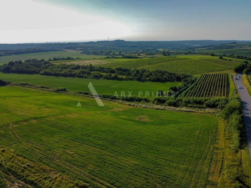 Poljoprivredno zemljište, Prodaja, Buje, Buje