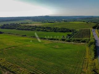 Poljoprivredno zemljište, Prodaja, Buje, Buje