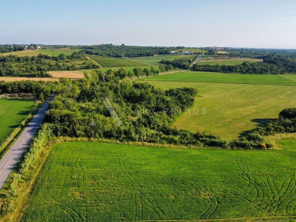 Poljoprivredno zemljište, Prodaja, Buje, Buje