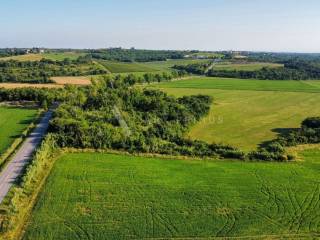 Poljoprivredno zemljište, Prodaja, Buje, Buje