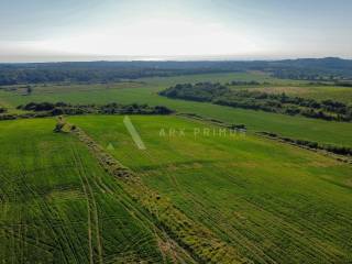 Poljoprivredno zemljište, Prodaja, Buje, Buje