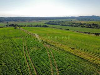 Poljoprivredno zemljište, Prodaja, Buje, Buje