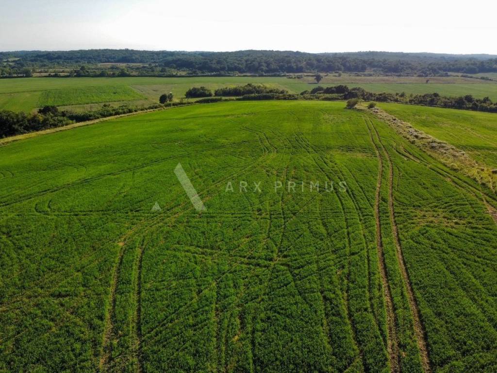 Poljoprivredno zemljište, Prodaja, Buje, Buje