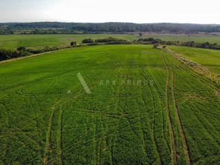 Poljoprivredno zemljište, Prodaja, Buje, Buje