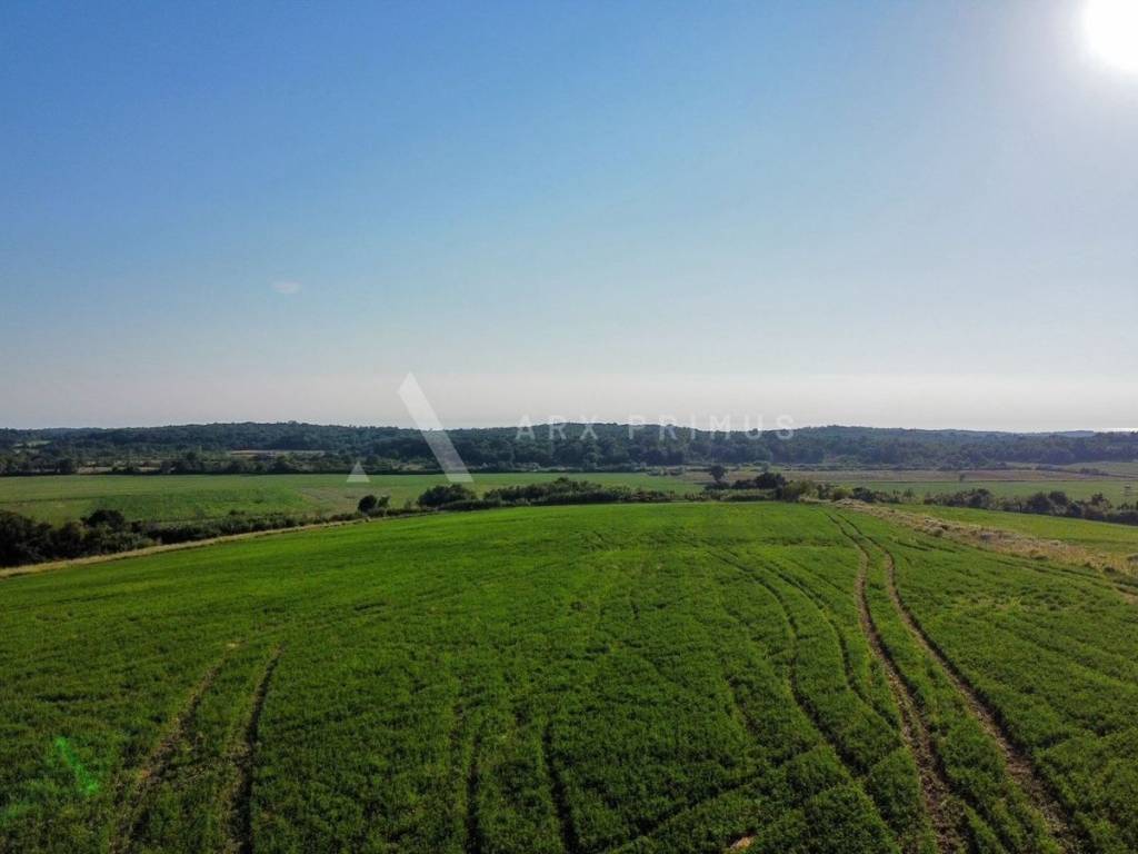 Poljoprivredno zemljište, Prodaja, Buje, Buje