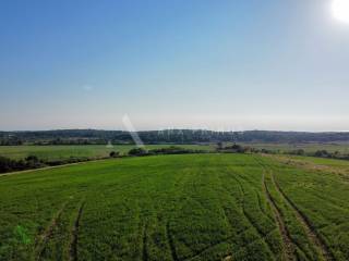 Poljoprivredno zemljište, Prodaja, Buje, Buje