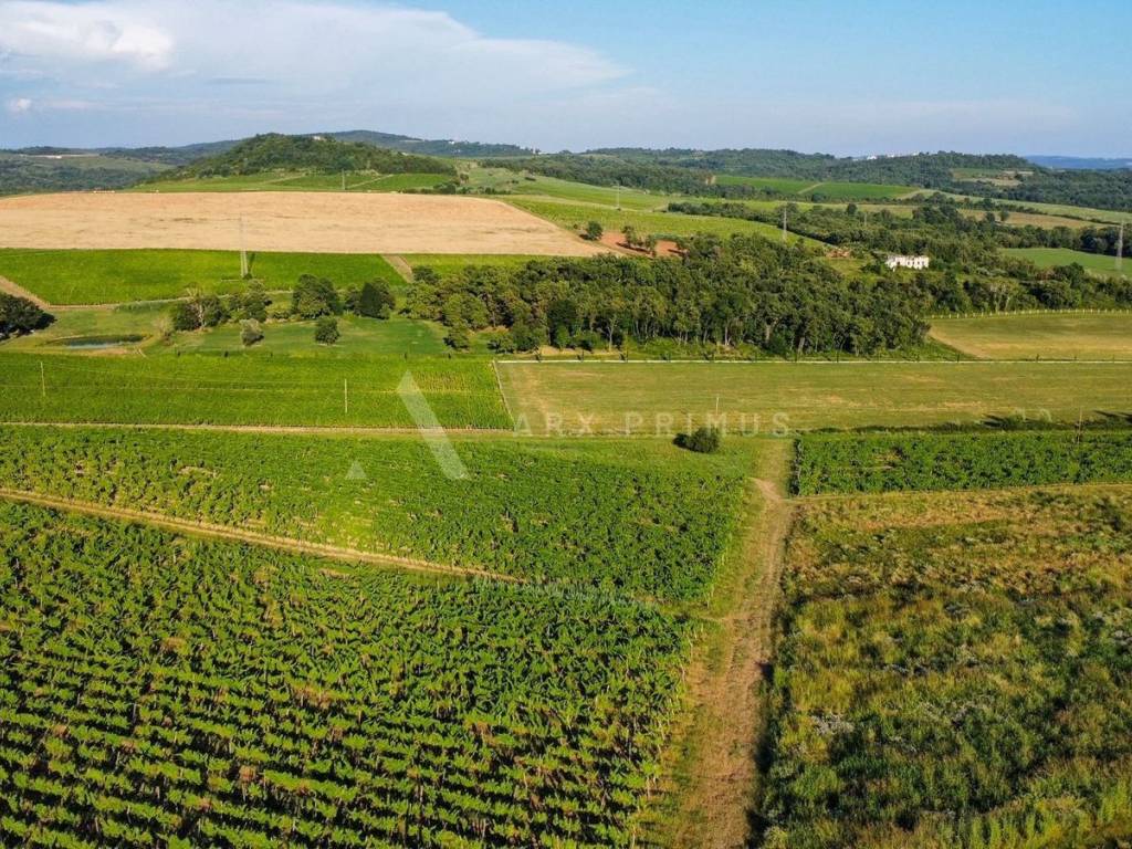 Poljoprivredno zemljište, Prodaja, Buje, Buje