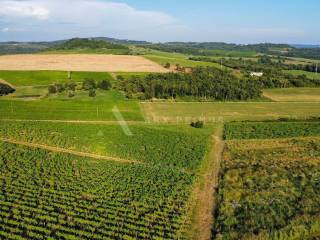Poljoprivredno zemljište, Prodaja, Buje, Buje