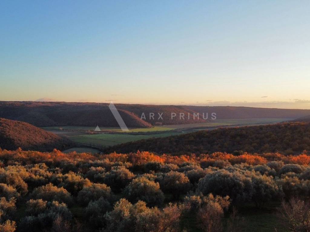 Građevinsko zemljište, Prodaja, Buje, Krasica