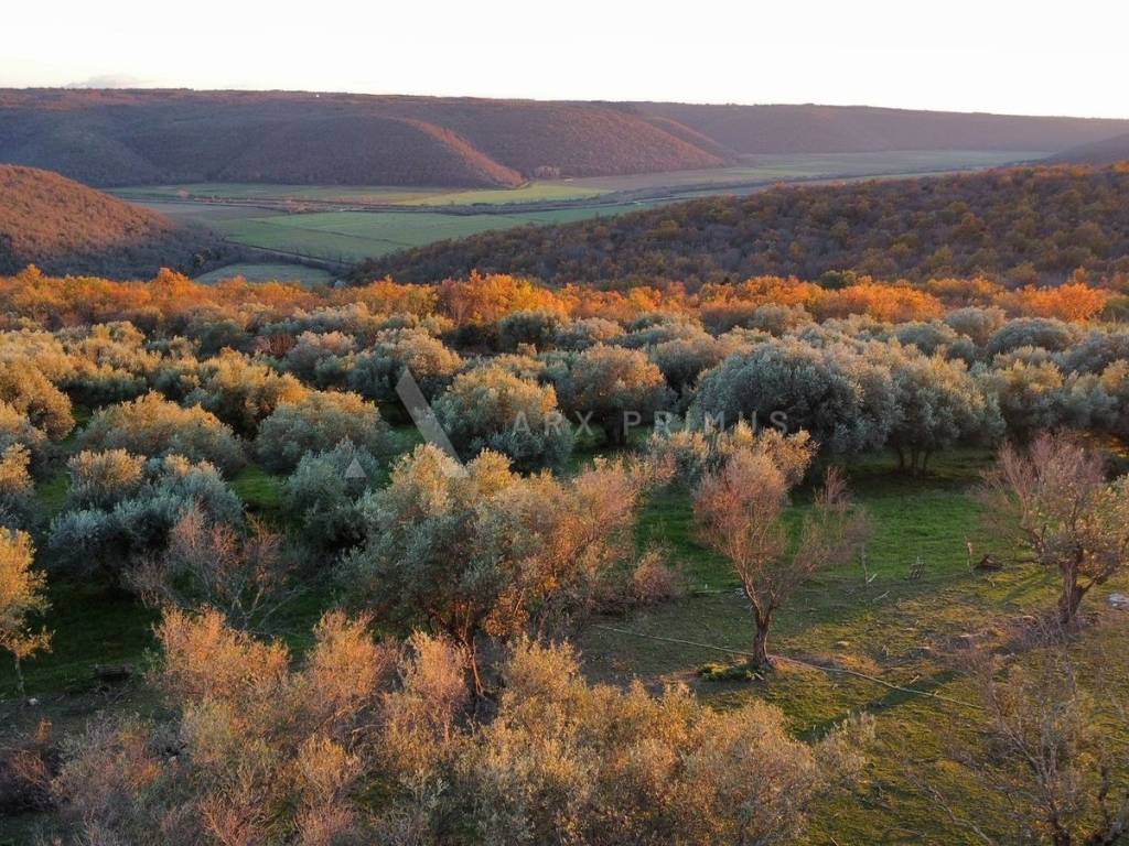 Građevinsko zemljište, Prodaja, Buje, Krasica