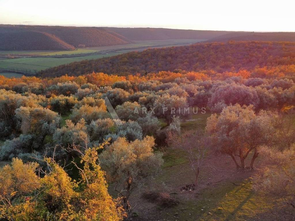 Građevinsko zemljište, Prodaja, Buje, Krasica