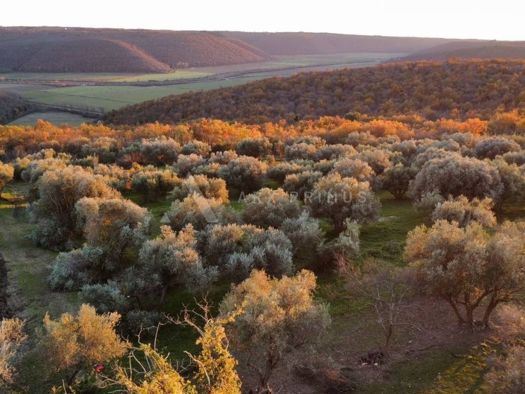 Građevinsko zemljište, Prodaja, Buje, Krasica