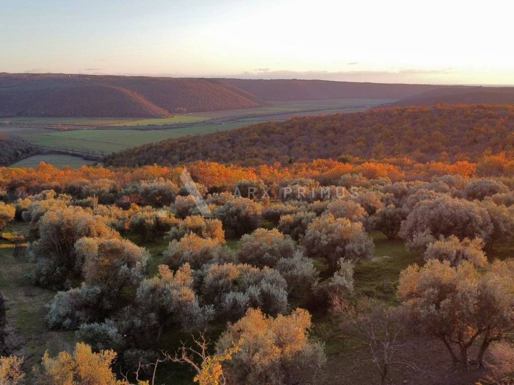 Građevinsko zemljište, Prodaja, Buje, Krasica