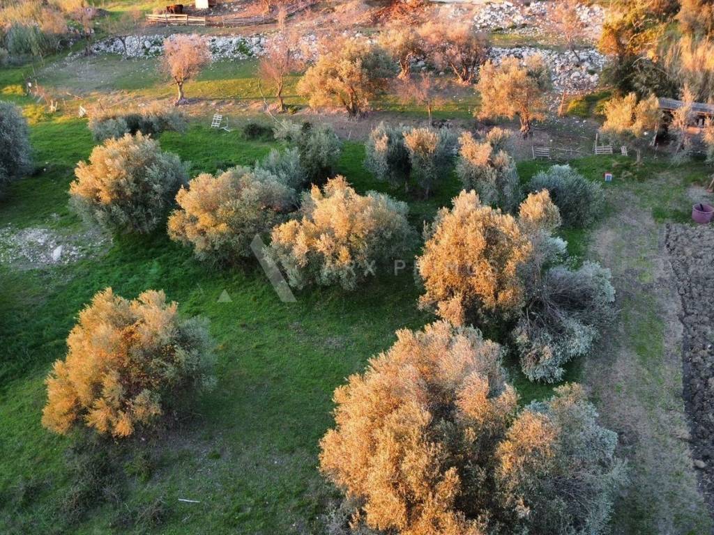 Građevinsko zemljište, Prodaja, Buje, Krasica